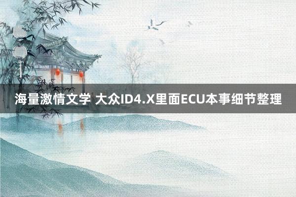 海量激情文学 大众ID4.X里面ECU本事细节整理