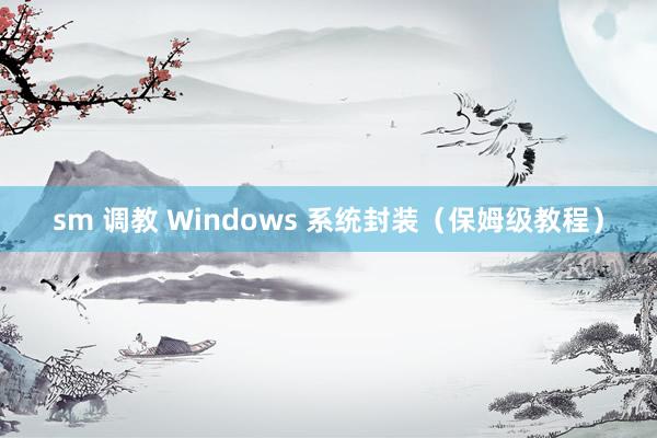 sm 调教 Windows 系统封装（保姆级教程）
