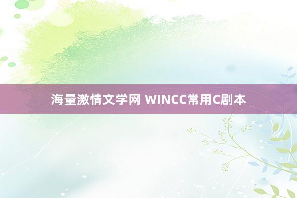 海量激情文学网 WINCC常用C剧本