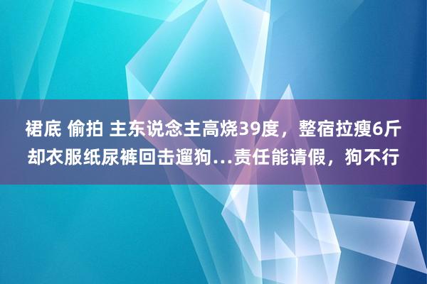裙底 偷拍 主东说念主高烧39度，整宿拉瘦6斤却衣服纸尿裤回击遛狗…责任能请假，狗不行