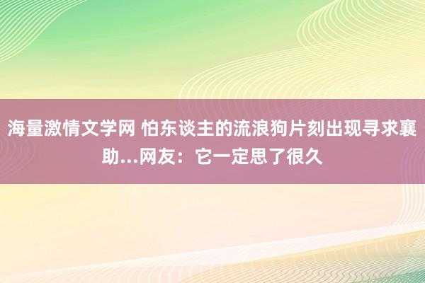 海量激情文学网 怕东谈主的流浪狗片刻出现寻求襄助...网友：它一定思了很久