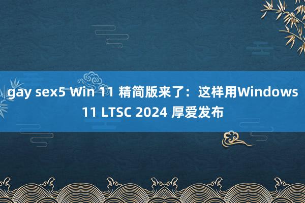gay sex5 Win 11 精简版来了：这样用Windows11 LTSC 2024 厚爱发布